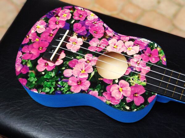 ხელოვნებაში გაცვლილი იურისტობა და უკულელეს ქართველი ოსტატი ხელოვნებაში გაცვლილი იურისტობა და უკულელეს ქართველი ოსტატი - Sputnik საქართველო