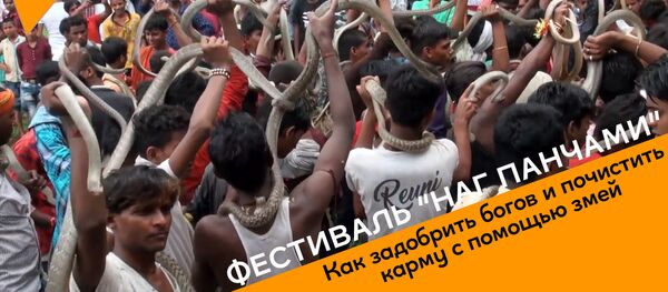Как задабривают богов с помощью змей - видео из Индии Как задабривают богов с помощью змей - видео из Индии - Sputnik Грузия