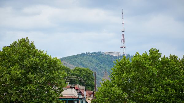 მასშტაბური გარემოსდაცვითი პროექტი „თბილისის ურბანული ტყე“ დასრულების ეტაპზეა