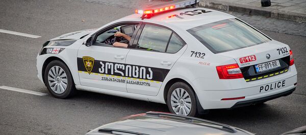 Патрульная полиция - Sputnik Грузия