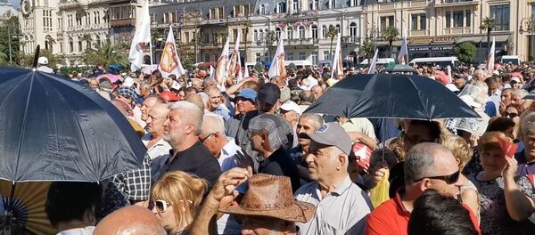 Митинг в поддержку отношений с Россией в Батуми Митинг в поддержку отношений с Россией в Батуми - Sputnik Грузия