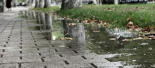 წვიმა წვიმა - Sputnik საქართველო