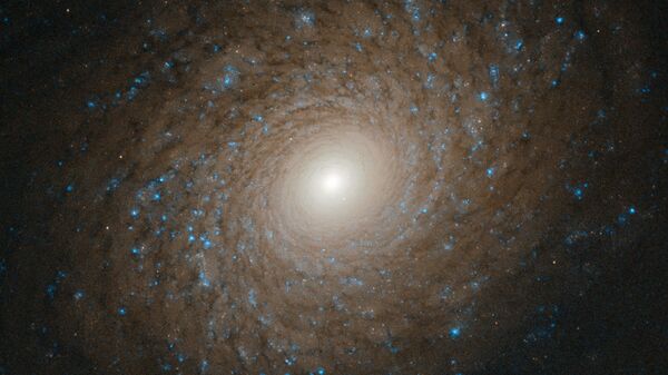 Спиральная галактика NGC 2985 в созвездии Большая Медведица - Sputnik Грузия