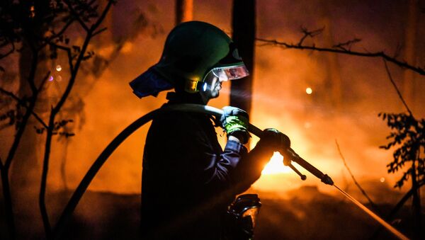 Пожарный тушит лесной пожар в Цильтендорфе близ Франкфурта-на-Одере, северо-восточная Германия, недалеко от границы с Польшей - Sputnik Грузия