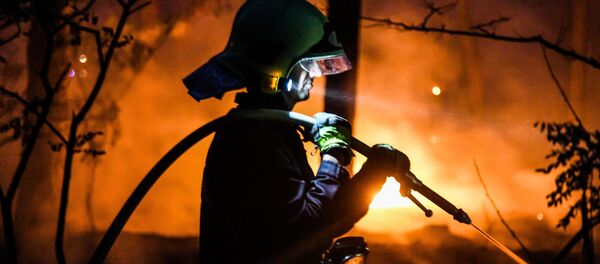 Пожарный тушит лесной пожар в Цильтендорфе близ Франкфурта-на-Одере, северо-восточная Германия, недалеко от границы с Польшей - Sputnik Грузия