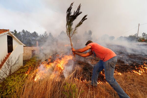 Местные жители тушат природный пожар в деревне Колос, Португалия - Sputnik Грузия