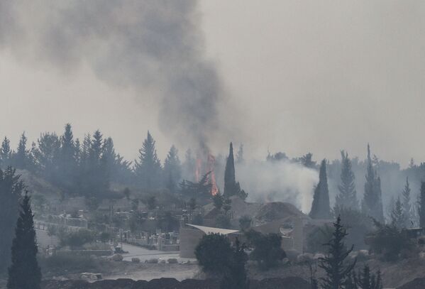 Дым над сгоревшим лесом в Израиле - Sputnik Грузия