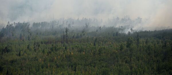 Ликвидация пожаров в Красноярском крае - Sputnik Грузия