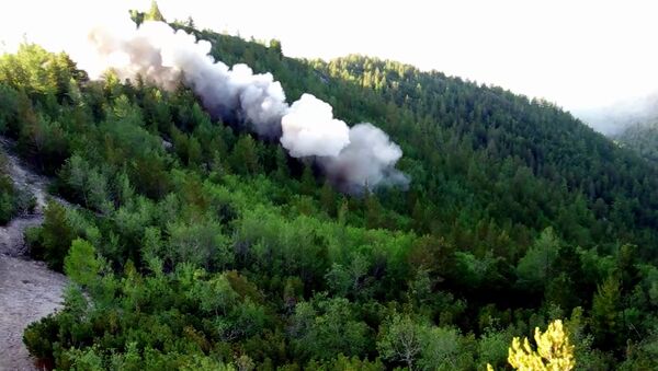 Ликвидация лесных пожаров в Красноярском крае и Иркутской области - Sputnik Грузия
