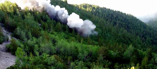 Ликвидация лесных пожаров в Красноярском крае и Иркутской области - Sputnik Грузия