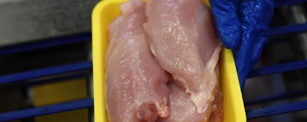 ქათმის გაყინული ფილე ქათმის გაყინული ფილე - Sputnik საქართველო