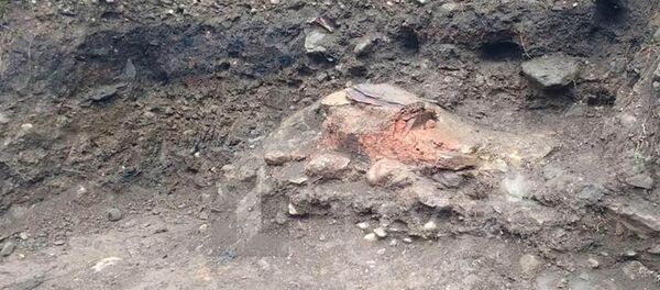 ბრინჯაოს ხანის ნამოსახლარი ბოგრეშში ბრინჯაოს ხანის ნამოსახლარი ბოგრეშში - Sputnik საქართველო