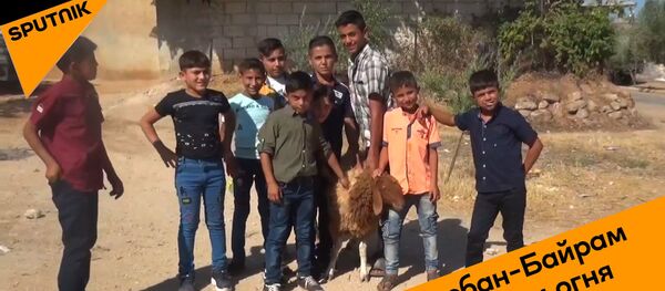 Курбан-Байрам в Сирии у линии огня - видео - Sputnik Грузия