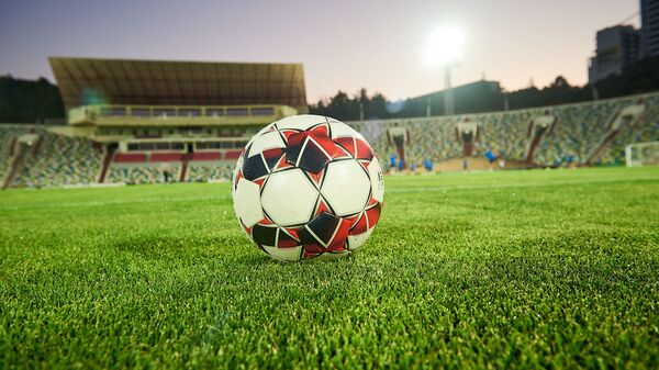 Футбольный мяч на поле стадиона Михаила Месхи - Sputnik Грузия