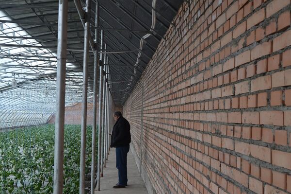 სასათბურე ტექნოლოგიები: როგორ მოვიყვანოთ ბოსტნეული იაფად შემოდგომა–ზამთარში სასათბურე ტექნოლოგიები: როგორ მოვიყვანოთ ბოსტნეული იაფად შემოდგომა–ზამთარში - Sputnik საქართველო