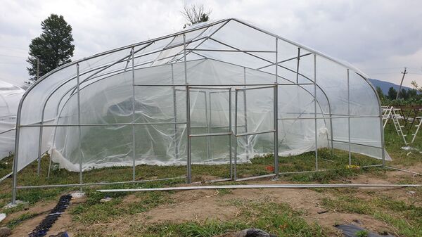 სასათბურე ტექნოლოგიები: როგორ მოვიყვანოთ ბოსტნეული იაფად შემოდგომა–ზამთარში სასათბურე ტექნოლოგიები: როგორ მოვიყვანოთ ბოსტნეული იაფად შემოდგომა–ზამთარში - Sputnik საქართველო