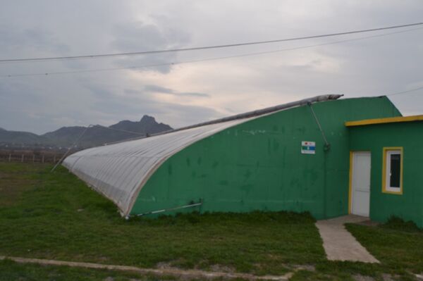 სასათბურე ტექნოლოგიები: როგორ მოვიყვანოთ ბოსტნეული იაფად შემოდგომა–ზამთარში სასათბურე ტექნოლოგიები: როგორ მოვიყვანოთ ბოსტნეული იაფად შემოდგომა–ზამთარში - Sputnik საქართველო