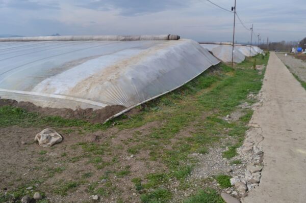 სასათბურე ტექნოლოგიები: როგორ მოვიყვანოთ ბოსტნეული იაფად შემოდგომა–ზამთარში სასათბურე ტექნოლოგიები: როგორ მოვიყვანოთ ბოსტნეული იაფად შემოდგომა–ზამთარში - Sputnik საქართველო