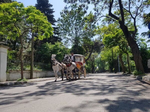 როგორ მოვხვდეთ პრინცის კუნძულებზე 5 ლირად: იდუმალი კუნძული, სადაც თურქულ სერიალებს იღებენ როგორ მოვხვდეთ პრინცის კუნძულებზე 5 ლირად: იდუმალი კუნძული, სადაც თურქულ სერიალებს იღებენ - Sputnik საქართველო