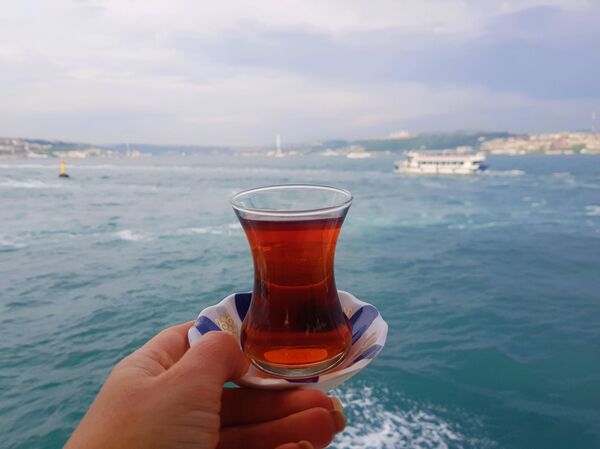 როგორ მოვხვდეთ პრინცის კუნძულებზე 5 ლირად: იდუმალი კუნძული, სადაც თურქულ სერიალებს იღებენ როგორ მოვხვდეთ პრინცის კუნძულებზე 5 ლირად: იდუმალი კუნძული, სადაც თურქულ სერიალებს იღებენ - Sputnik საქართველო