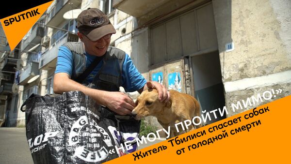Не могу пройти мимо - житель столицы Грузии спасает собак от голодной смерти - Sputnik Грузия