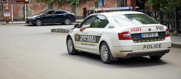 Патрульная полиция в регионе - Sputnik Грузия