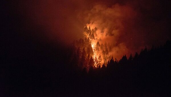 Страшный лесной пожар в Испании - Sputnik Грузия