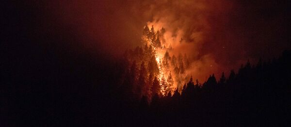 Страшный лесной пожар в Испании - Sputnik Грузия