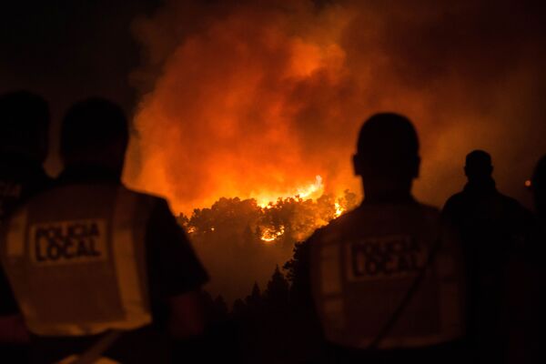 Огонь уже уничтожил более 55 тысяч гектаров леса по всей Испании. Площадь лесных пожаров на Канарских островах составляет около тысячи гектаров - Sputnik Грузия