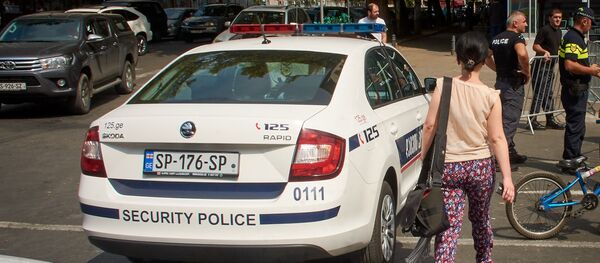 საპატრულო პოლიცია - Sputnik საქართველო