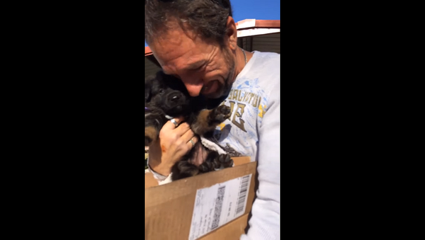 Эмоциональная реакция мужчины на подаренного щенка покорила Сеть – видео - Sputnik Грузия
