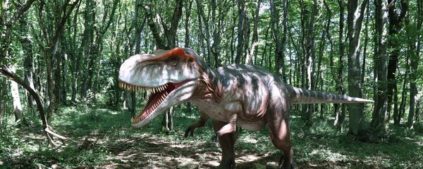 Заповедник в Сатаплия, парк Юрского периода Заповедник в Сатаплия, парк Юрского периода - Sputnik Грузия