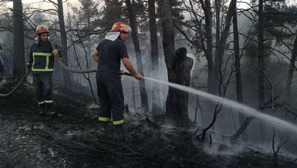 Тушение лесных пожаров в Гори - Sputnik Грузия