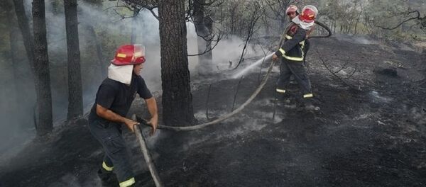 Тушение лесных пожаров в Гори Тушение лесных пожаров в Гори - Sputnik Грузия