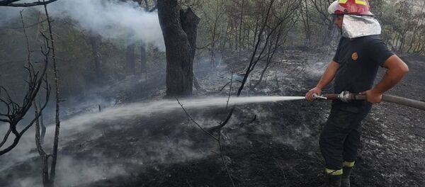 Тушение лесных пожаров в Гори Тушение лесных пожаров в Гори - Sputnik Грузия