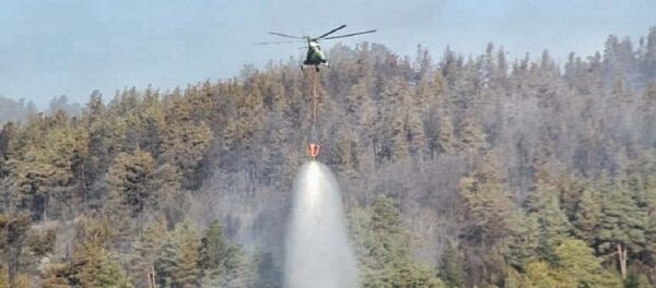 ხანძრის ჩაქრობის პროცესი სოფელ საყავრესთან ხანძრის ჩაქრობის პროცესი სოფელ საყავრესთან - Sputnik საქართველო