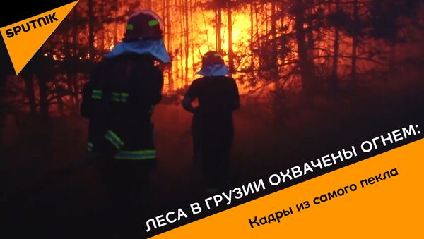Леса в Грузии охвачены огнем: кадры из самого пекла - видео - Sputnik Грузия