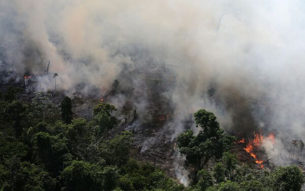 Лесной пожар в джунглях. Амазония - Sputnik Грузия