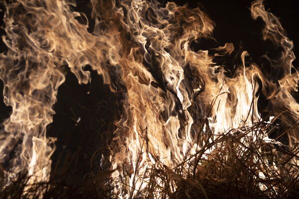 Экологические организации, исследователи и эксперты винят в распространении пожаров политику, которую проводит президент Бразилии Жаира Болсонару и его администрация - Sputnik Грузия