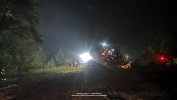 Борьба с лесным пожаром в Кахети продолжается ночью - Sputnik Грузия