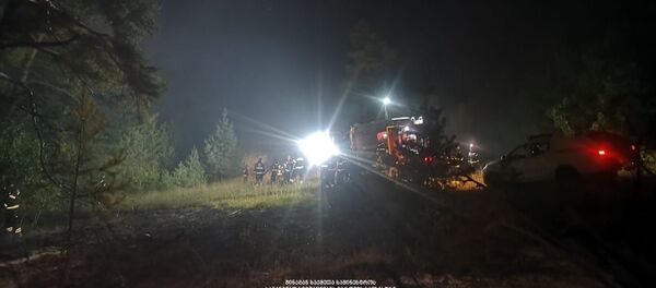 ბრძოლა ტყის ხანძართან ბრძოლა ტყის ხანძართან - Sputnik საქართველო