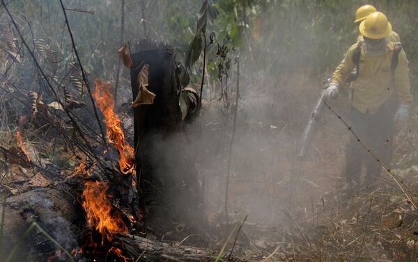 Лесные пожары в джунглях Амазонии - Sputnik Грузия