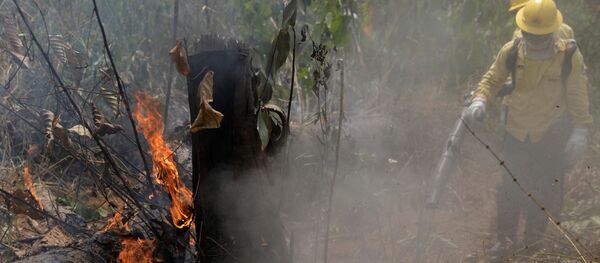 Лесные пожары в джунглях Амазонии - Sputnik Грузия