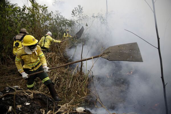 Однако насколько эффективными теперь окажутся действия пожарных и спасателей? Леса горят уже с начала августа - Sputnik Грузия