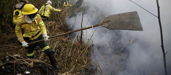 Лесные пожары в джунглях Амазонии - Sputnik Грузия