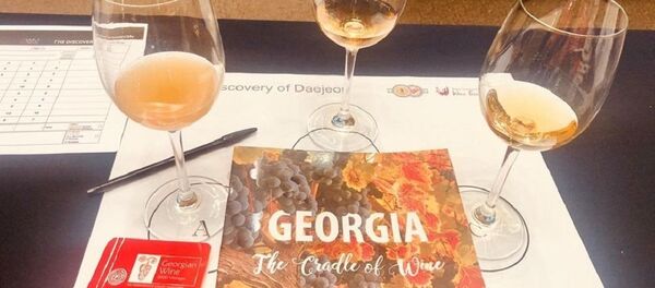 ქარვისფერი ღვინის დეგუსტაცია კორეაში - Sputnik საქართველო