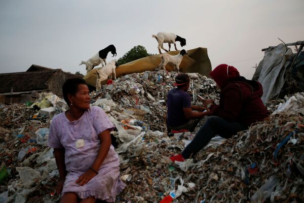 Жители деревни Бангун сидят на куче мусора, а рядом пасутся козы - Sputnik Грузия