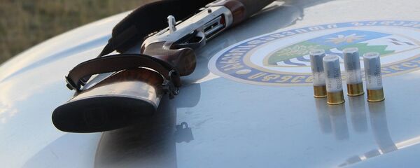 Ружье и патроны - Sputnik Грузия