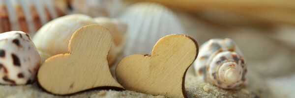 ნიჟარები და ხის გულები სანაპიროზე - Sputnik საქართველო