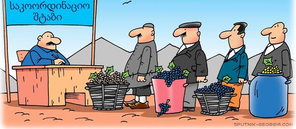 ყველა რთველში! - Sputnik საქართველო